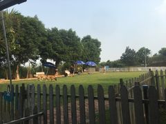 -良成狗狗乐园