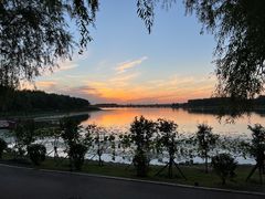 -丁香湖公园