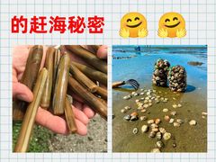 -巧克力渔家.小船海鲜胶东菜(万平口店)