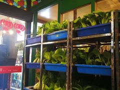 自助取餐区-申阿婆·上海菜·小海鲜(国展店)