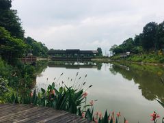 -铁山坪森林公园