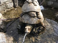 -中华三祖圣地黄帝城遗址文化旅游区