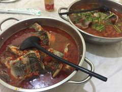 -风鑫铃罗非鱼(道沟店)