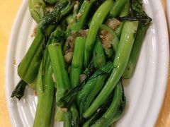 油渣炒菜心-粤·向群饭店(泮塘路店)