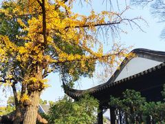 -南京中国近代史遗址博物馆(南京总统府)