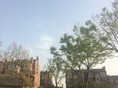 -新江湾城公园