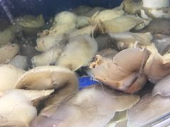 -叶存利海鲜大馅饺子(东戴河止锚湾店)
