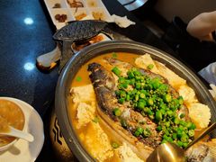 -探鱼·鲜青椒爽麻烤鱼(增城东汇城店)