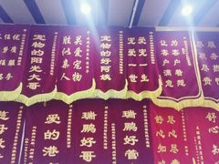-瑞鹏宠物医院华南总院·夜诊·心脏科·骨科