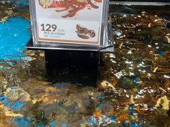 -盒马鲜生(曜一城店)