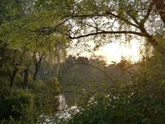 -荆川公园