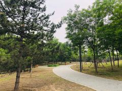 -东郊湿地公园