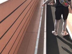 -美的鹭湖探索王国