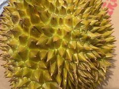 -宜宾海鲜酒家·三十年老字号