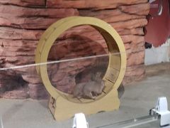 -正佳雨林生态植物园