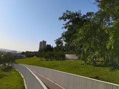 -灞河西岸滨河公园