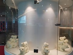 -冠军冰场CHAMPION RINK(凯德广场店)