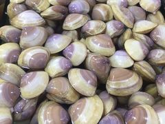 贵妃螺-万尾农贸市场