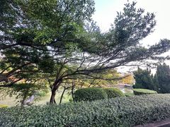 -广州莲花山旅游区
