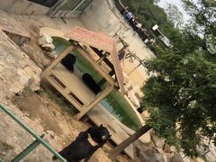 -石家庄市动物园