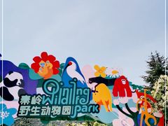 -西安秦岭野生动物园