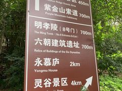 -紫金山山顶公园