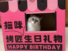 -烤匠麻辣烤鱼(环球中心店)