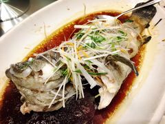 -頂好酒家·经典粤菜(海信广场店)