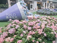 -HALO广场(梨园路店)