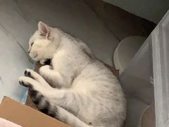 -美联众合动物医院·24h京西诊疗中心