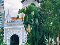 -泰国村酒楼(良木园酒店)