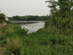 -尚贤河湿地