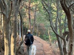 -南京市无想山景区