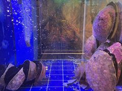 -渔洲情海鲜酒家