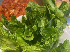 -杨记齐齐哈尔烤肉(总店)