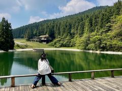 -武陵山森林公园