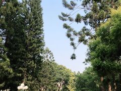 -人民公园(罗湖区)