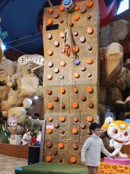 -卡通尼·Safari非洲探索乐园·生日会(金桥国际商业广场店)