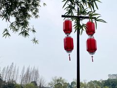 -棠湖公园