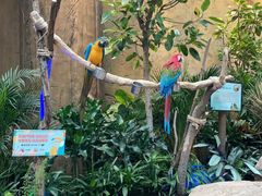 -杭州开元森泊度假乐园