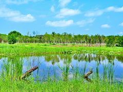 -东郊湿地公园