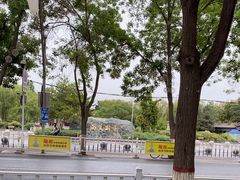 -张掖大佛寺景区