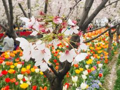 -上海南浦大桥长途旅游客运站