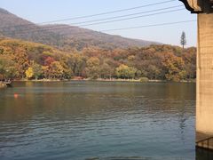 -紫霞湖公园