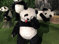 -成都泰迪熊博物馆