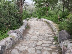 -阳台山自然风景区