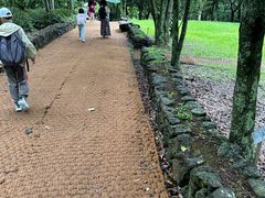 -汉拿树木园