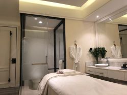 -奥斯芬欧系贵族SPA