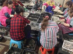 -海峡水产品交易中心(海鲜交易区)