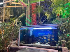 -無招牌海鮮(芽笼店)